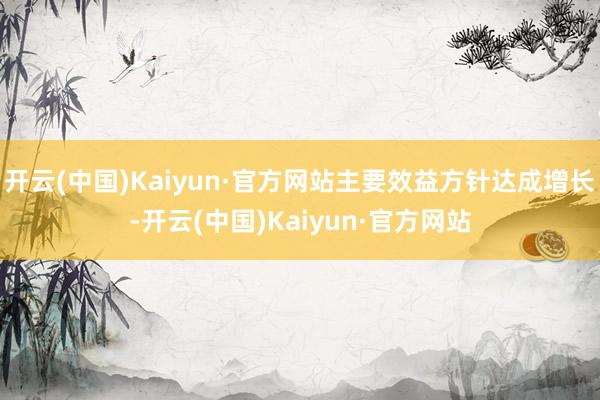 开云(中国)Kaiyun·官方网站主要效益方针达成增长-开云(中国)Kaiyun·官方网站