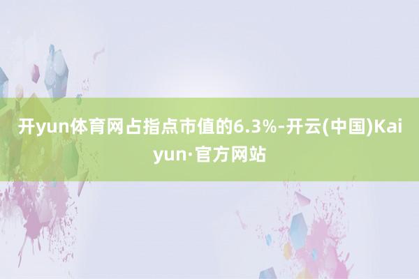 开yun体育网占指点市值的6.3%-开云(中国)Kaiyun·官方网站