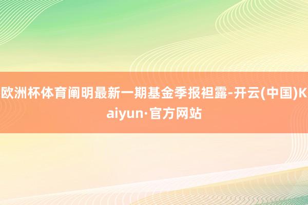 欧洲杯体育阐明最新一期基金季报袒露-开云(中国)Kaiyun·官方网站