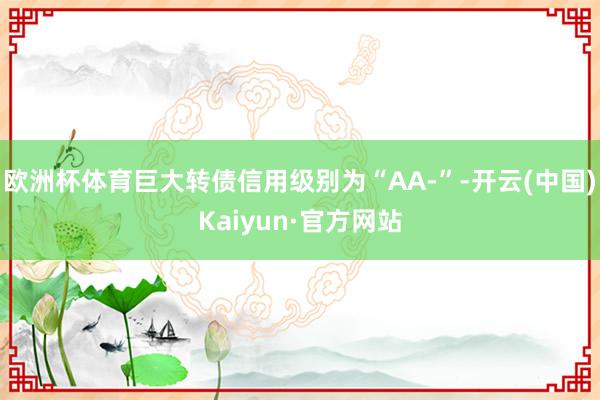 欧洲杯体育巨大转债信用级别为“AA-”-开云(中国)Kaiyun·官方网站