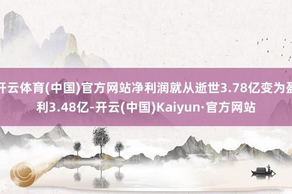 开云体育(中国)官方网站净利润就从逝世3.78亿变为盈利3.48亿-开云(中国)Kaiyun·官方网站