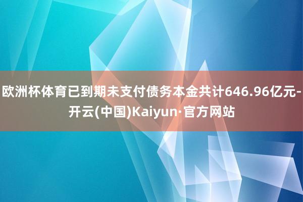 欧洲杯体育已到期未支付债务本金共计646.96亿元-开云(中国)Kaiyun·官方网站