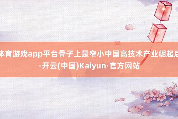 体育游戏app平台骨子上是窄小中国高技术产业崛起后-开云(中国)Kaiyun·官方网站