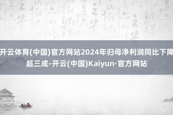 开云体育(中国)官方网站2024年归母净利润同比下降超三成-开云(中国)Kaiyun·官方网站