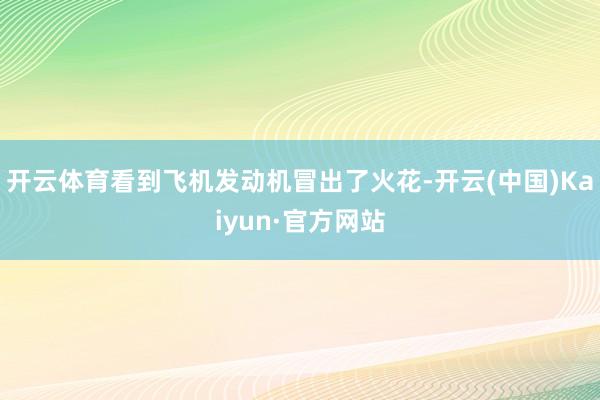 开云体育看到飞机发动机冒出了火花-开云(中国)Kaiyun·官方网站